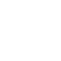 ce logo Delano